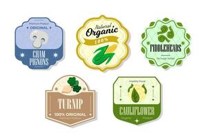 Different retro vegetables banner and labels. Packaging tags with cauliflower, fiddleheads, turnip, champignons. Set of seasonal vegetables labels stickers and marks or badges template for packaging vector