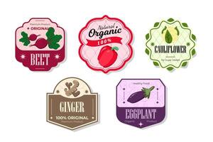 Different retro vegetables banner and labels. Packaging tags with beet, ginger, eggplanet, pepper, cauliflower. Set of seasonal vegetables labels stickers and marks or badges template for packaging vector