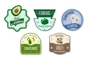 Retro fruits banner and labels. Different juices stickers. Packaging tags with cabbage,champignons,cauliflower,ginger. Set of seasonal fruits labels stickers and marks or badges template for packaging vector