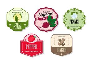 Different retro vegetables banner and labels. Packaging tags with ginger, pepper, fennel, cauliflower. Set of seasonal vegetables labels stickers and marks or badges template for packaging vector