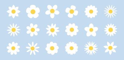 Camomile flower set. Minimal daisy collection on soft blue background. Simple floral elements. Clean and delicate design for spring and summer nature themes. vector