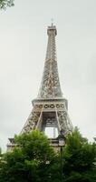 Bottom view of Eiffel Tower on a sunny summer day. Spire reconstruction. France Paris. 4k vertical , red komodo photo