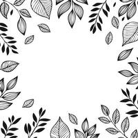 black and white leaves pattern with copy space vector