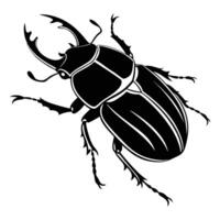 Black and white illustration of a Colorado potato beetle, an insect pest, isolated with antenna and close-up details vector