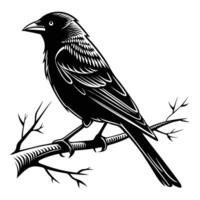 Black silhouette of a wild bird with a feather wing and beak on a tree branch, an illustration of a crow or raven in nature vector