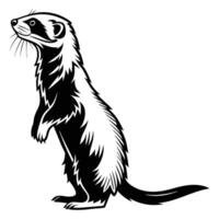 Cartoon illustration of a cute wild mammal, a lion cub, lion, squirrel, ferret, raccoon, and polecat, isolated on a white background vector