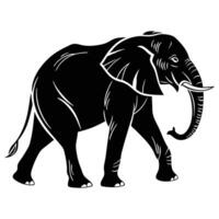Isolated illustration of a large gray elephant walking with its trunk and tusks, suitable for wildlife and safari themes vector