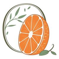 Fresh citrus fruits with oranges and lemons on a white background vector