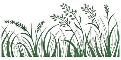 Fresh green grass vectors illustrate nature's vibrant growth, isolated on white for versatile design
