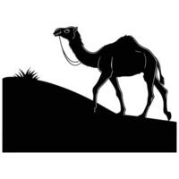 Silhouetted against a desert sunset, a wild Arabian dromedary camel with its distinctive hump traverses the vast sand dunes vector