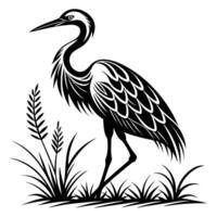 Beautiful great blue heron, a striking grey bird with a long beak, captured on the beach, a branch, and in the sky, showcasing its magnificent feathers in nature's wildlife vector
