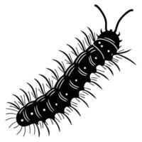 Isolated macro of a black hairy caterpillar, a creature of nature, on a white background vector