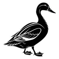 White bird isolated on white, a black and white duck vector