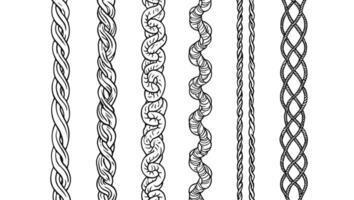 A set of different braids vector