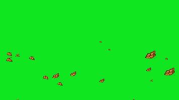 Swarm of Orange Butterflies Flying on Green Screen Background - Animated Nature Stock Footage video
