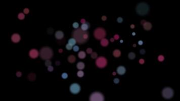 Abstract Bokeh Light Effect Dynamic Floating Orbs of Colorful Soft Focus Lights on Black Background video