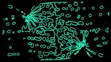 Abstract Digital Animation Evolving Cyan Shapes, Dynamic Distortion, and Glowing Particles on Black Background video