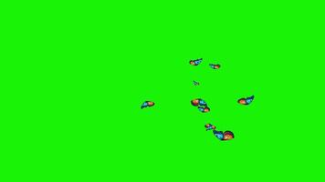 Animated colorful butterflies with blue and orange wings fluttering and flying across a green screen background, ideal for chroma key compositing and visual effects overlays. video