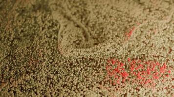 Transforming red particles into green wavy pattern. Design video