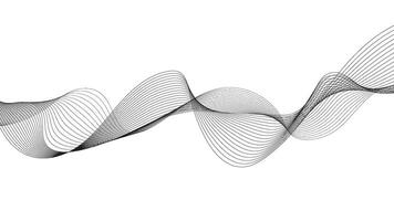 Abstract Black Wave Lines on White Background vector