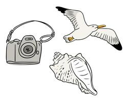 illustration of a camera, flying seagull and seashell on white background. Summer vacation and coastal exploration concept in a simple hand drawn style vector