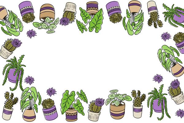 Hand drawn floral banner with cacti and potted plants arranged in colorful border design. Celebrates nature, home gardening and botanical decor with a fresh organic aesthetic