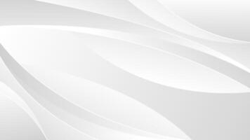 Elegant modern white and gray curved background. Minimalist abstract flow lines for modern business wallpaper, presentation, banner, cover, template design, website, and more vector