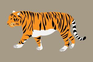 Flat illustration of a hand drawn tiger in motion, walking gracefully with detailed stripes. Isolated on a gray background, stylized in a bold and minimal flat style. vector