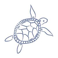 Sea turtle . Doodle of big turtle with pencil, chalk texture. isolated element vector