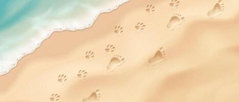 Illustration of footprints and pawprints on a sandy beach. Gentle waves add texture. Used to convey summer vibes, vacation memories, and coastal adventures. vector