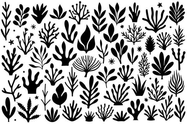Set of black silhouette coral and sea plant elements. Marine botanical collection in flat hand-drawn style. Perfect for ocean themes, tropical design, patterns, and underwater decoration.