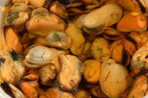A close up of mussels in a container photo