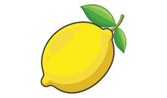 Lemon with leaves isolated on white background, a citrus fruit vector