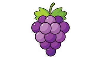 Cartoon grape cluster isolated on white background illustration vector