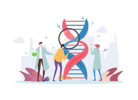 Genetic DNA Science Illustration Concept Showing a group of scientist investigating DNA vector