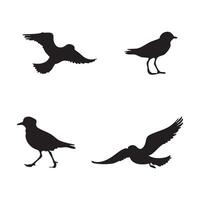 Flying Plover Bird Silhouette Set Flat Icon Collection of Bird Silhouettes Isolated on White Background vector