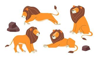 Set of cartoon lions in flat style on a white background vector