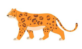 Leopard in flat style on white background vector