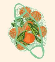 Fresh Oranges in Mint Mesh Bag vector