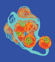 Persimmons in Mesh Net Bag vector
