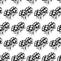 Broccoli in doodle style. Seamless pattern. vector