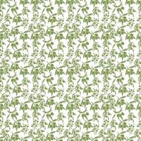 Set of olive branches. Seamless pattern. vector
