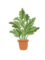 green houseplant on white background vector