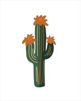art cactus bloom vector