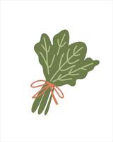 Spinach leaves as a source of vitamins and natural energy vector