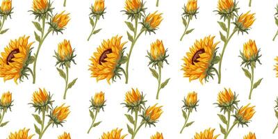 Beautiful seamless pattern with sunflower on a white background vector