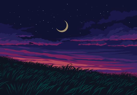 Serene night time illustration with dusk, grassland, moon and stars