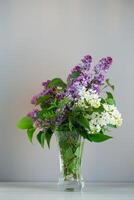 Delicate lilac branches isolated on a gray background. photo