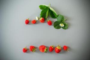 Top view of red strawberries with a gray background photo