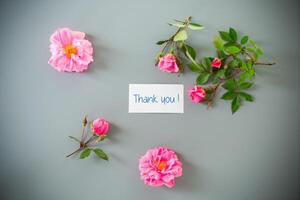 Pink petals and branches with buds with gratitude on gray photo